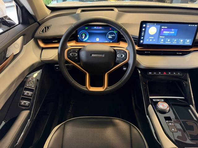 HAVAL H6 PHEV 19 - 2024/2025 - BRANCA 8