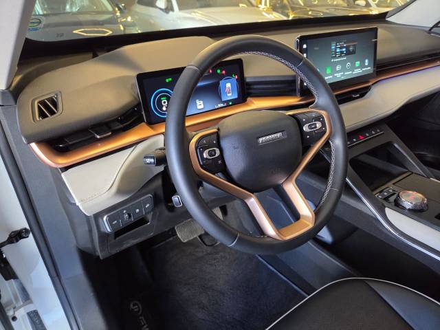 HAVAL H6 PHEV 19 - 2025/2025 - BRANCA 36