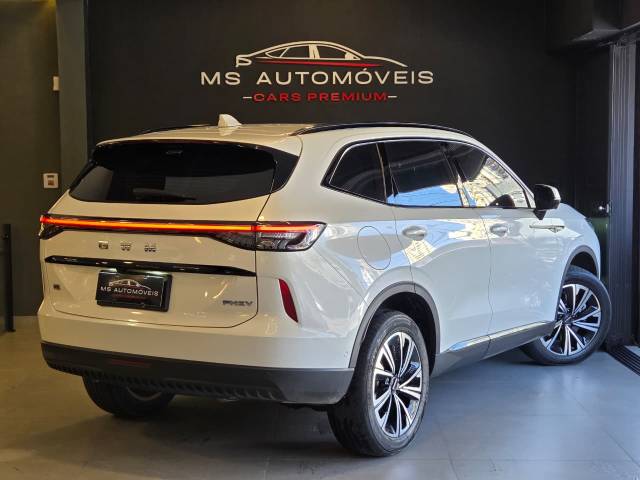 HAVAL H6 PHEV 19 - 2025/2025 - BRANCA 32