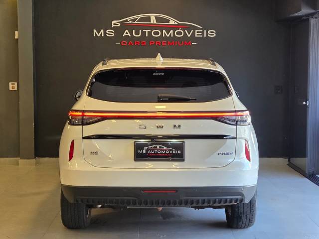 HAVAL H6 PHEV 19 - 2025/2025 - BRANCA 30