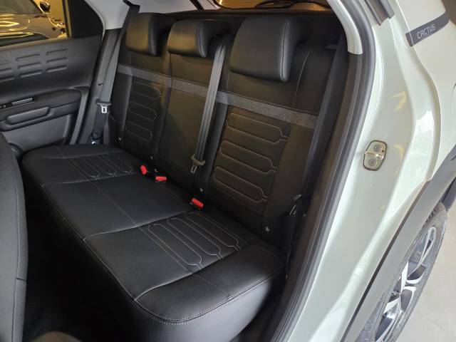 C4CACTUS SHINE T - 2019/2019 - BRANCA 8