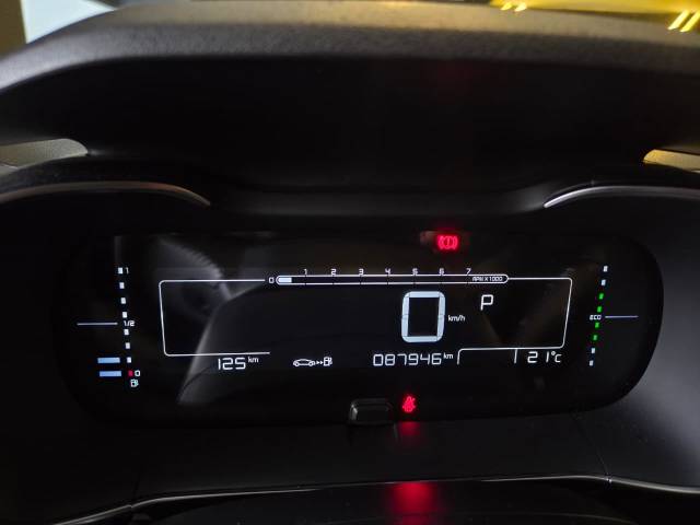 C4CACTUS SHINE T - 2019/2019 - BRANCA 6