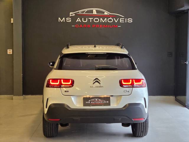C4CACTUS SHINE T - 2019/2019 - BRANCA 14