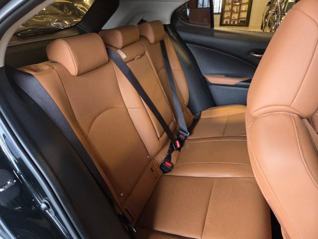 LEXUS UX250H LUXURY - 2019/2019 - PRETO 32